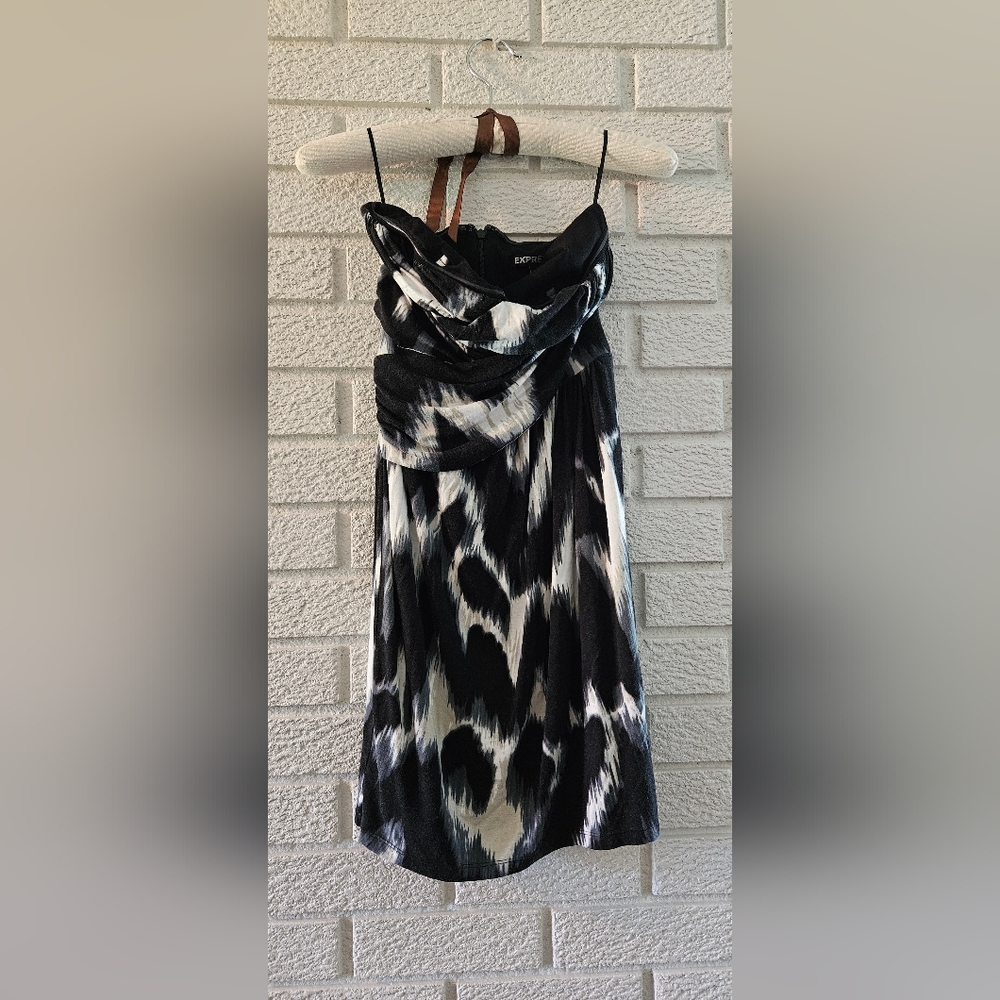Express dress - Picture 3 of 6
